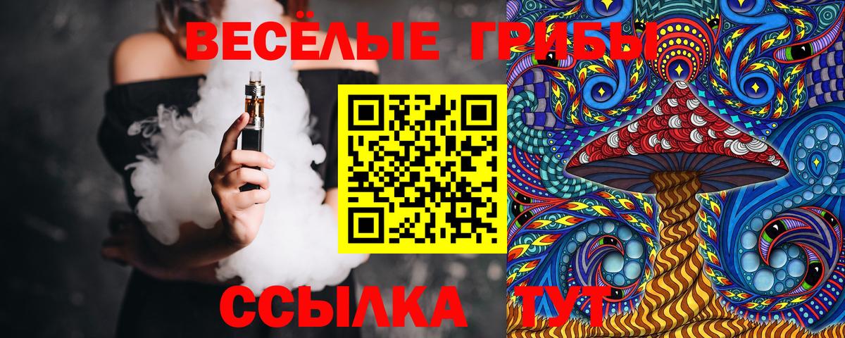 дарнет шоп  Псилоцибиновые грибы Magic Shrooms  Волжск  Вход с VPN  Галлюциногенные грибы MAGIC MUSHROOMS 